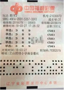 3d中奖推荐,精准推荐助你一臂之力