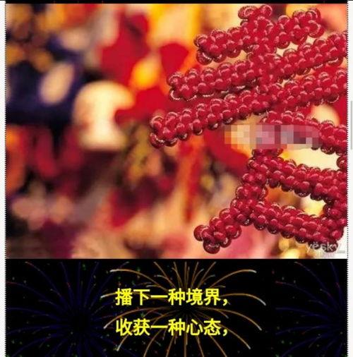幸运16连续,探寻数字背后的神秘力量