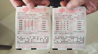 沈阳3d彩票,揭秘数字游戏背后的精彩故事