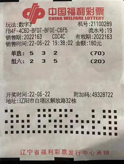 沈阳3d彩票,揭秘数字游戏背后的精彩故事