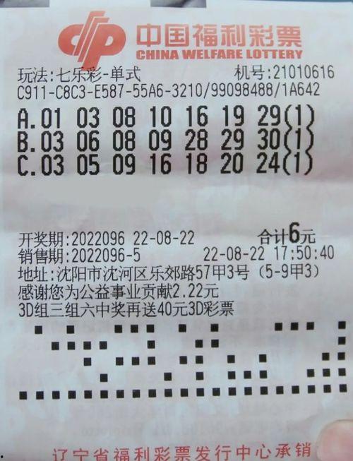 沈阳3d彩票,揭秘数字游戏背后的精彩故事