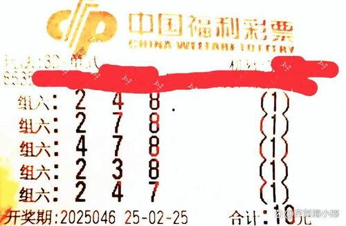 龙门3d福彩,揭秘数字游戏的魅力与机遇